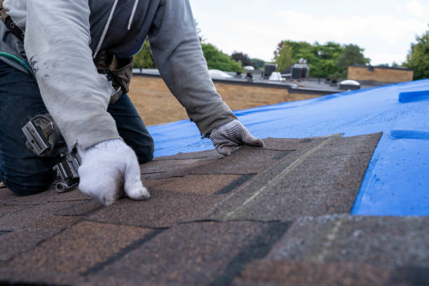 Roof Waterproofing Services in Idyllwild Pine Cove, CA