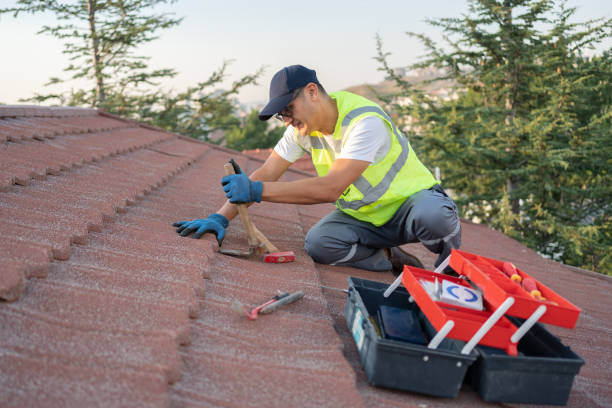 Best Roof Maintenance Services  in Idyllwild Pine Cove, CA